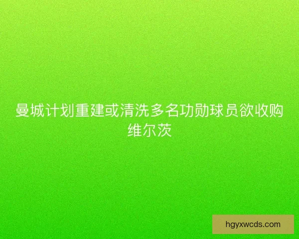 曼城计划重建或清洗多名功勋球员欲收购维尔茨