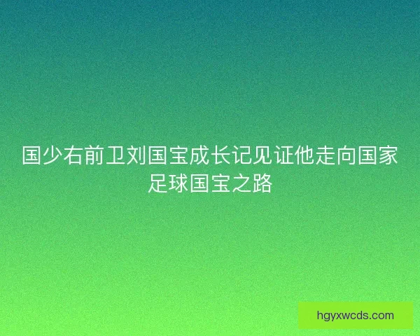 国少右前卫刘国宝成长记见证他走向国家足球国宝之路
